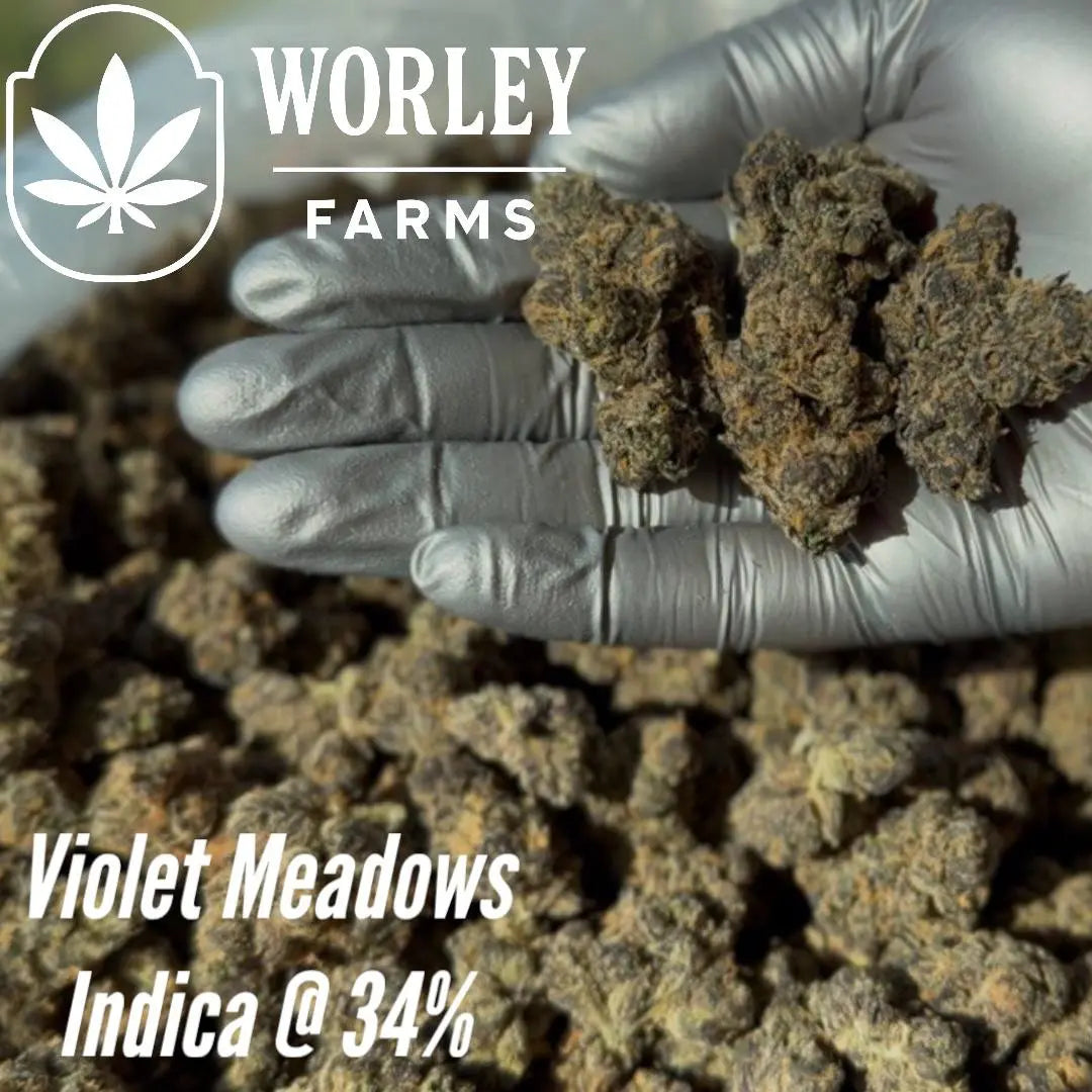 THCA Flower Violet Meadows - Indica 34% Worley Farms