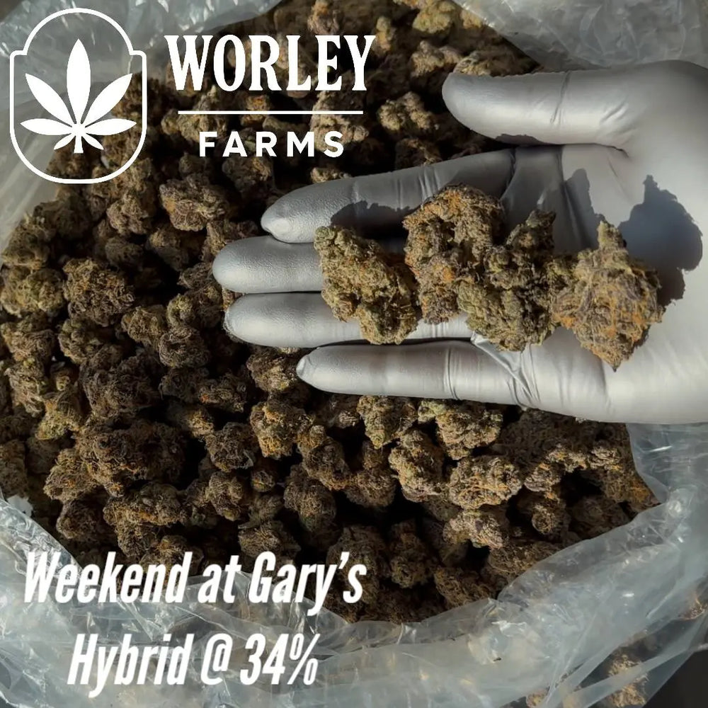THCA Flower Weekend at Gary's - Hybrid 34% - Lb Worley Farms