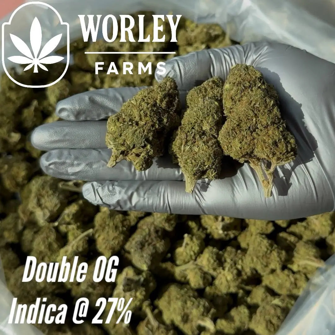 THCA Flower Double OG - Indica 27% Worley Farms
