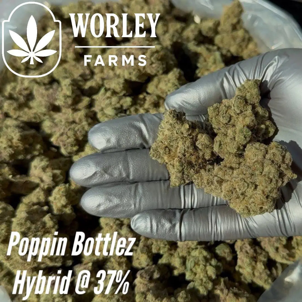 THCA Flower Poppin' Bottlez - Hybrid 37% Worley Farms