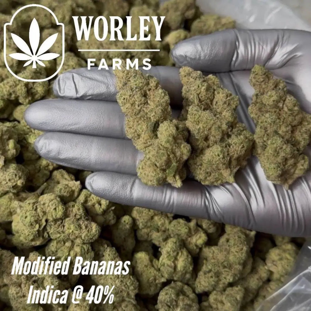 THCA Flower Modified Bananas - Indica 40% Worley Farms