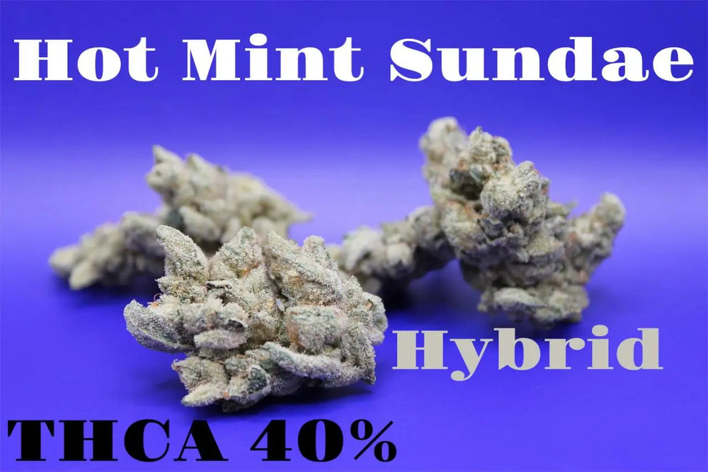 D Squared Worldwide Inc Bulk Flower THCA Flower Hot Mint Sundae - THCA 40% - Lb